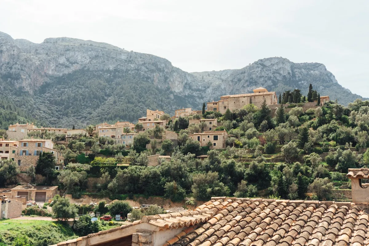 Palma — cliff pines above the bay